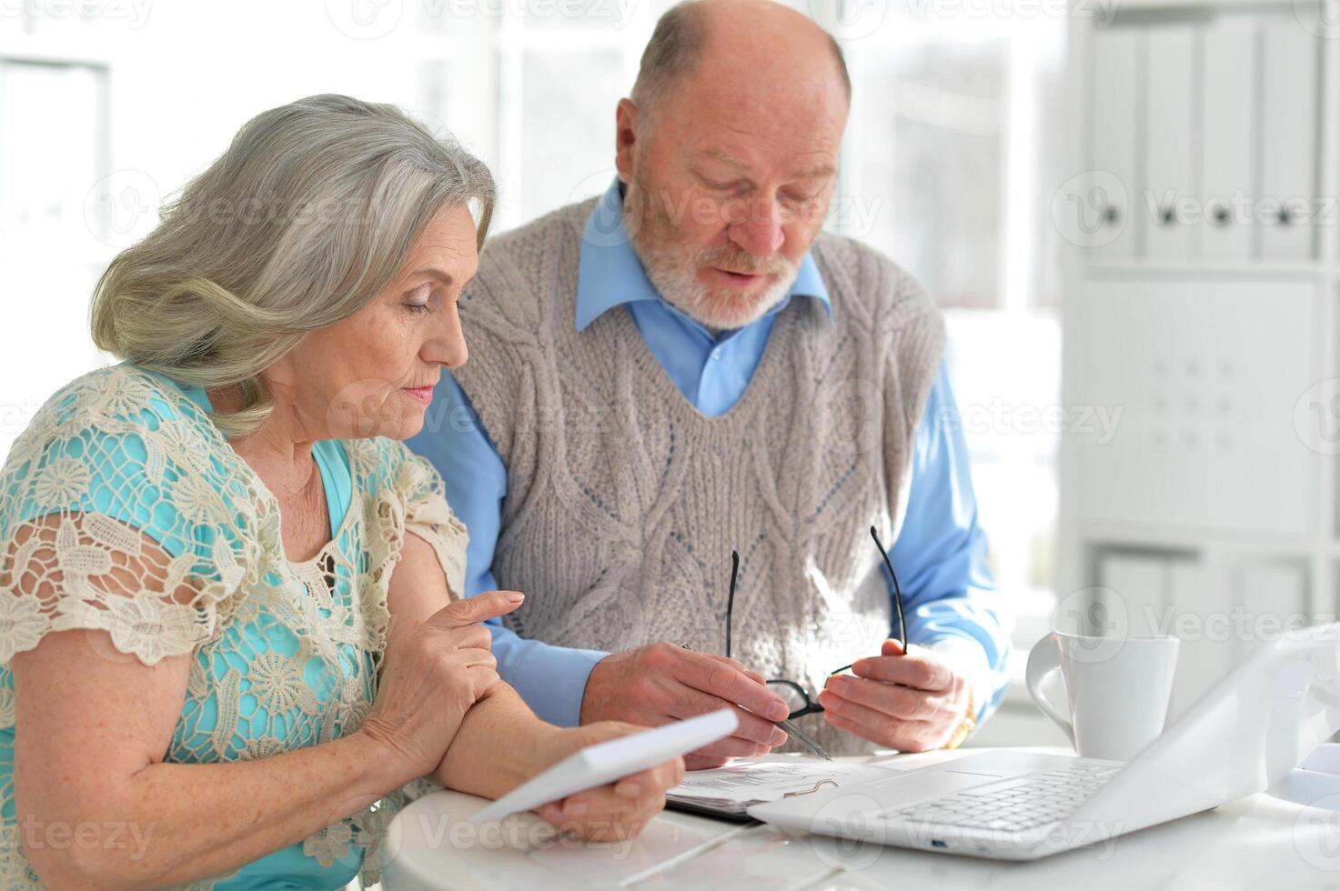 Portrait of an elderly couple using a laptop at home photo