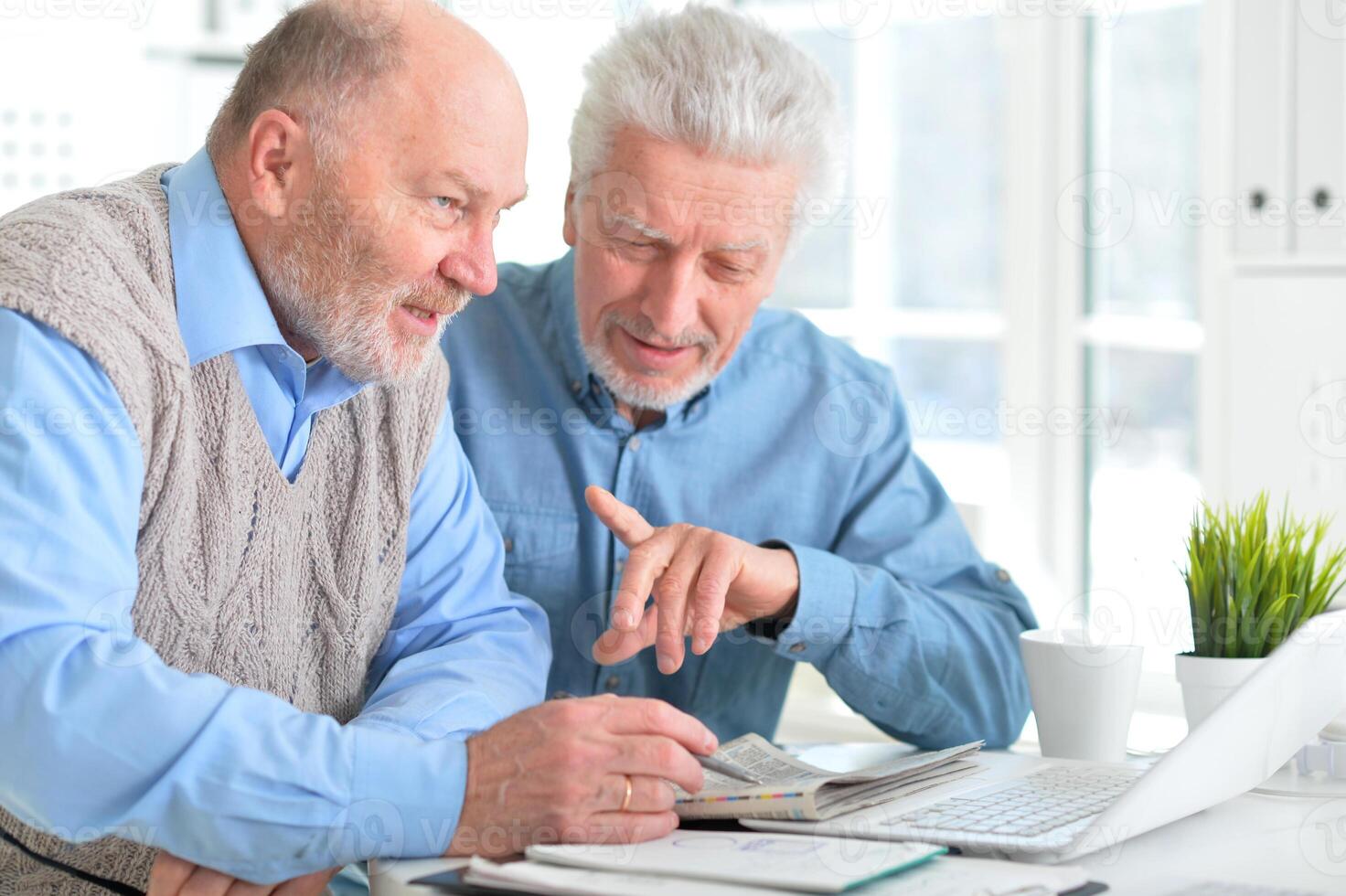 Portrait of two elderly men working on laptop in office photo