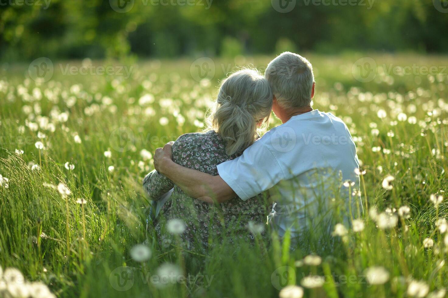 An elderly couple is sitting on the grass in a park rear view photo