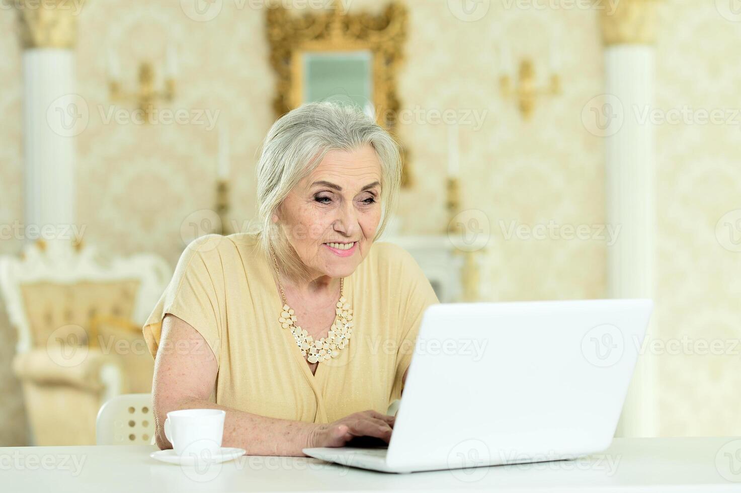 Beautiful elderly woman using a laptop at home photo
