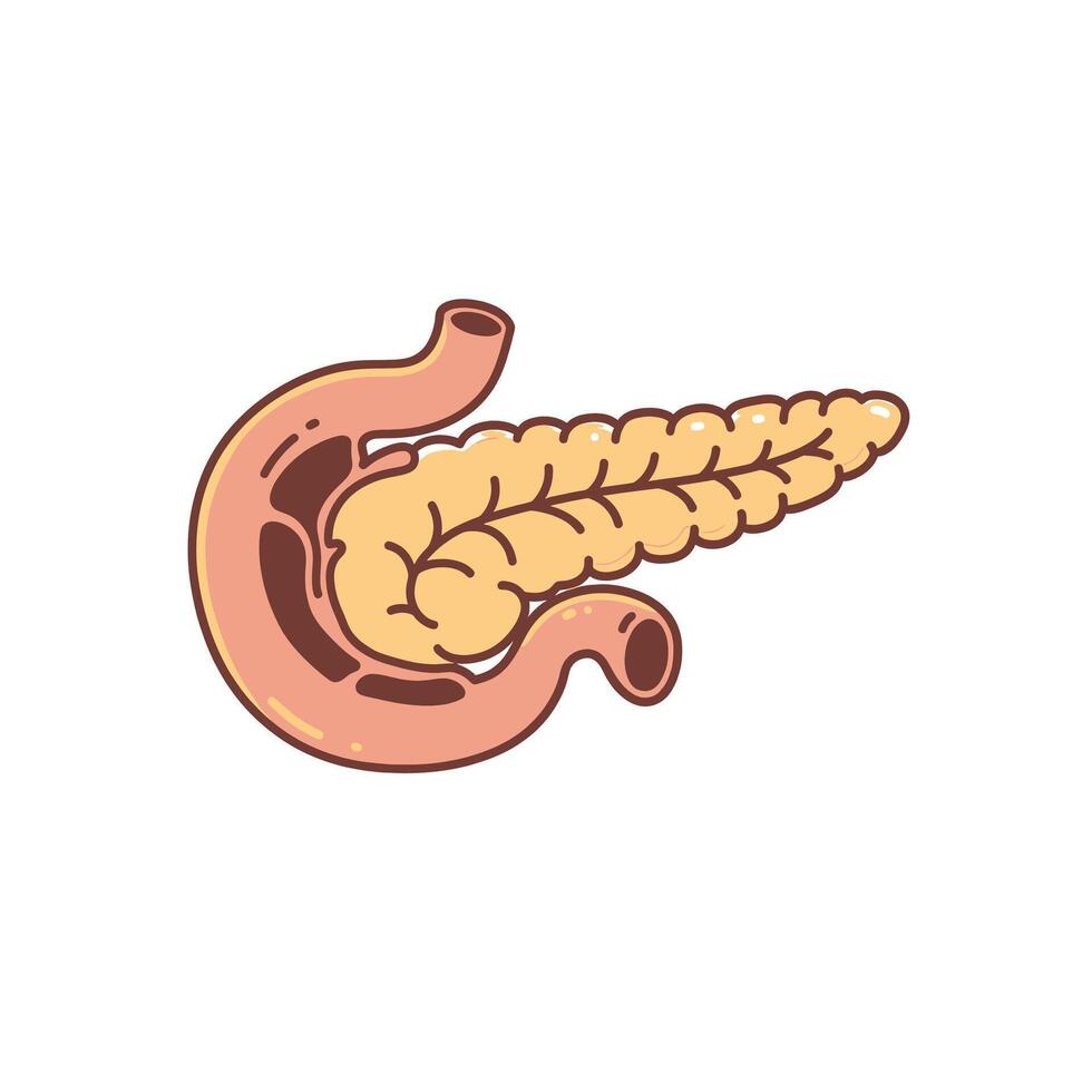 A Cartoon of a Stomach With a Small Intlectum vector
