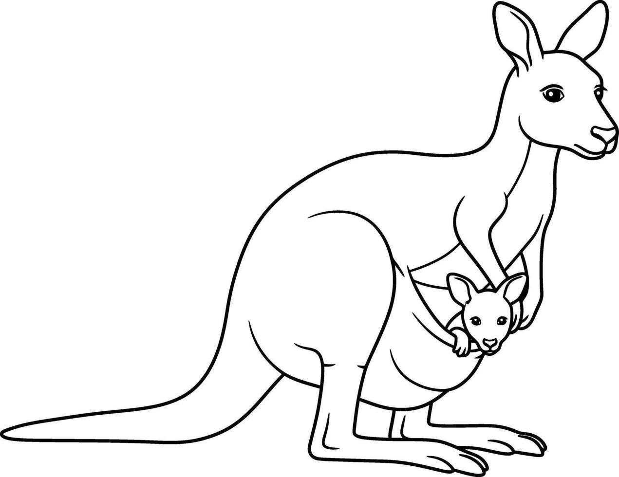 Australian kangaroo coloring pages vector