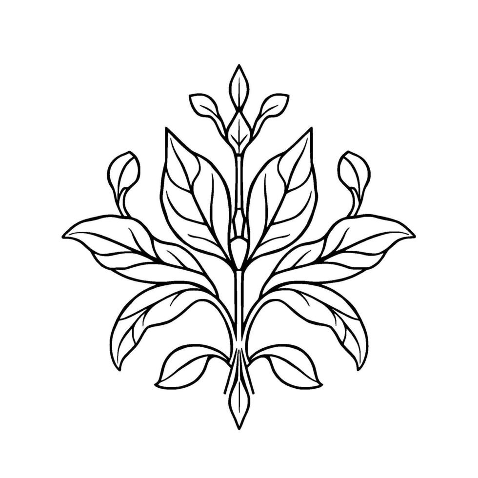 Symmetrical Botanical Illustration Minimalist, , and Ornamental Line Art Depicting Leaves and Bud Arrangement in Black and White. vector