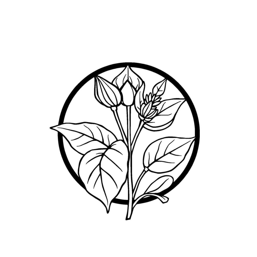 Detailed, BlackandWhite Botanical Illustration of a Plant with Blossoms and Leaves, Encased within a Circular Frame, Minimalist. vector