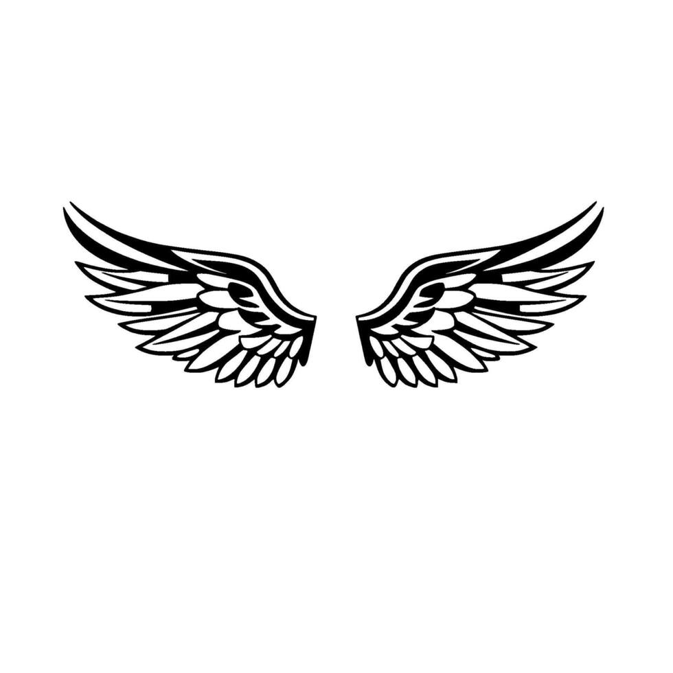 Elegant symmetrical black and white illustration of spread angel wings, , isolated on white background. vector
