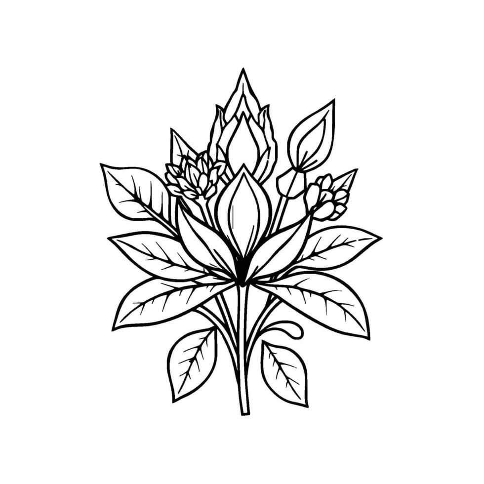 Intricate monochrome botanical illustration depicting a stylized arrangement of flowers, leaves and buds in elegant linework. vector