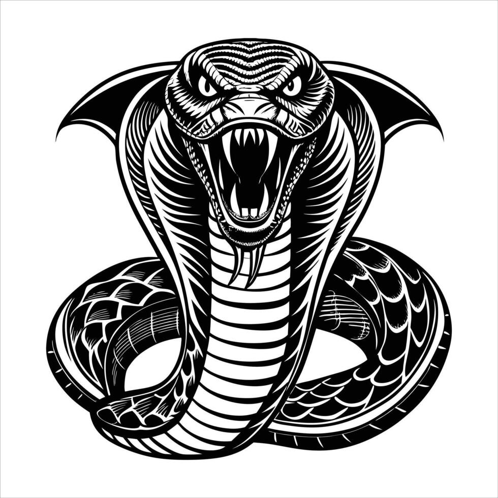 King cobra black. vector