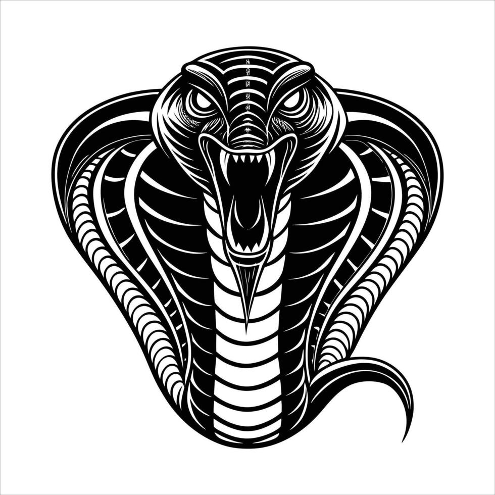 King Cobra Sport Team vector