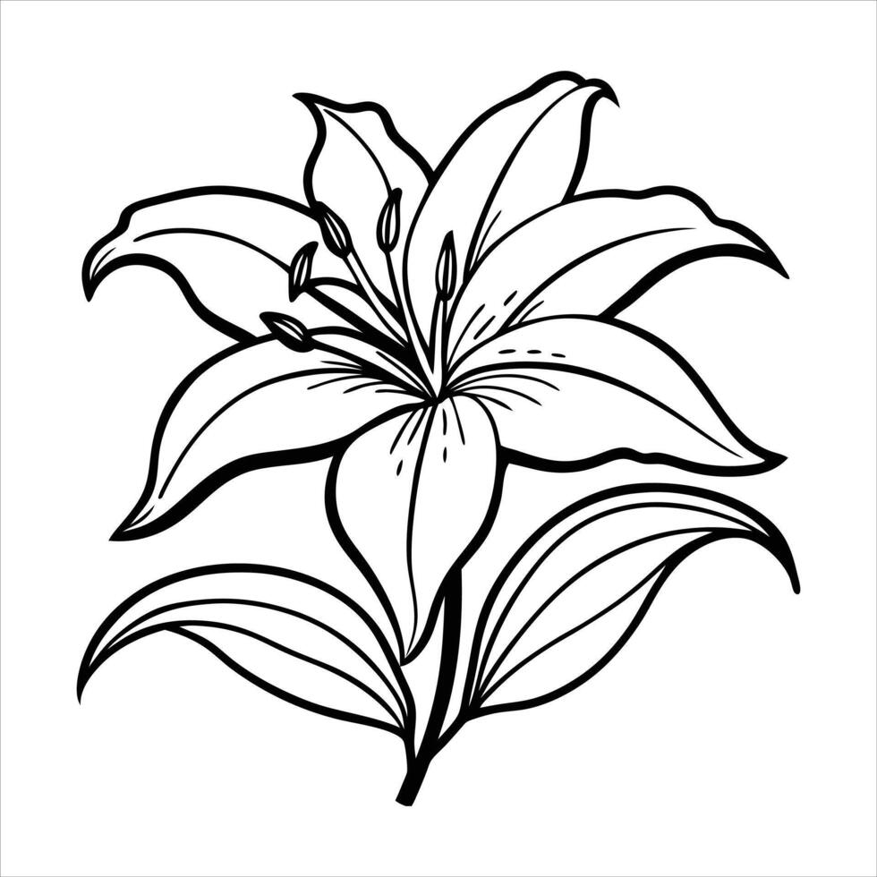 Long Stem Lily Design vector