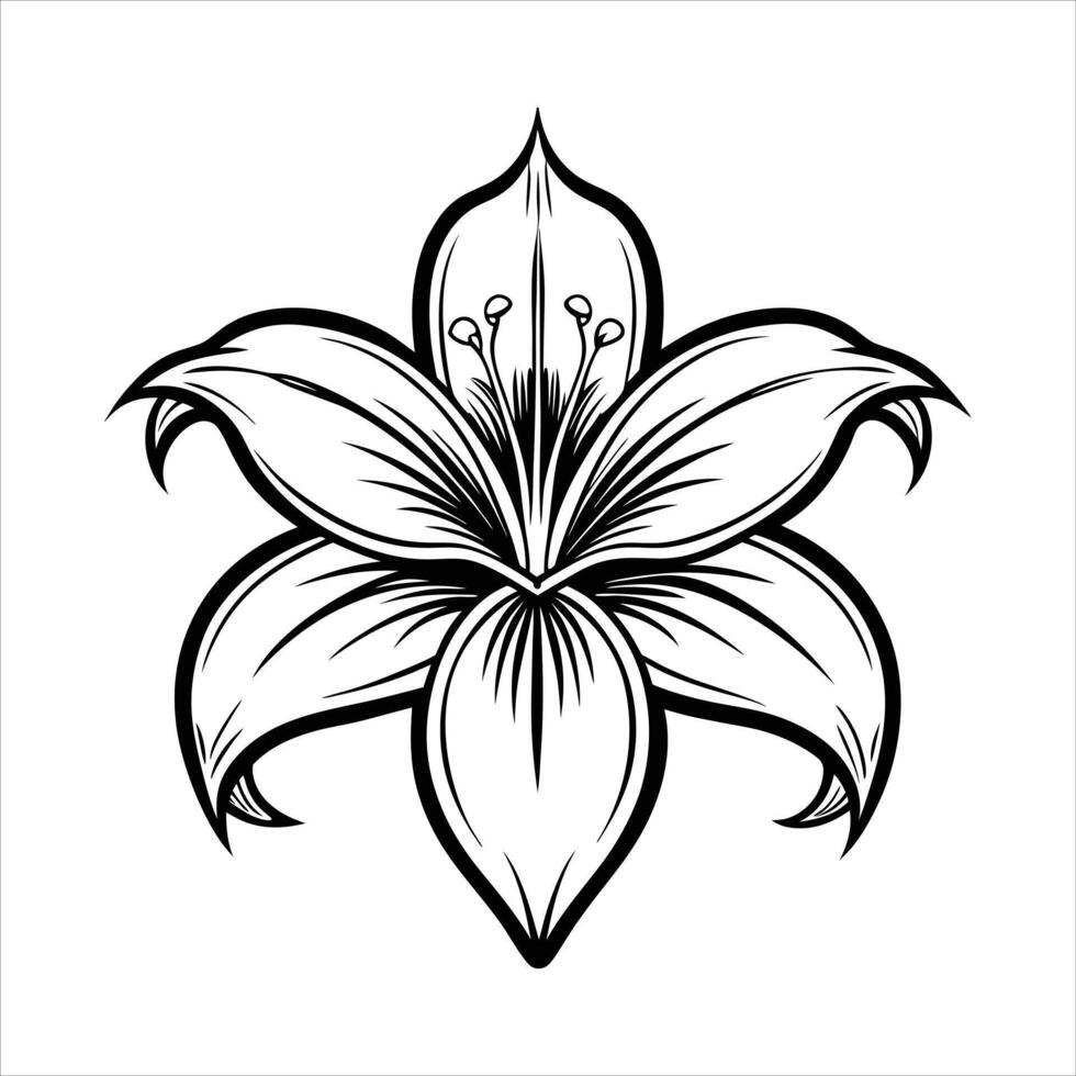 Lily Silhouette Graphic vector
