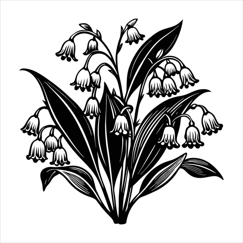 Lily Valley Delicate vector