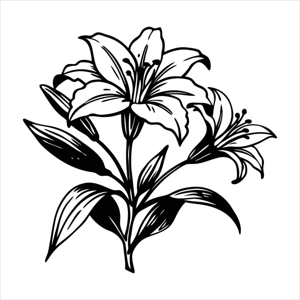 Silhouette Of Lily Flower vector