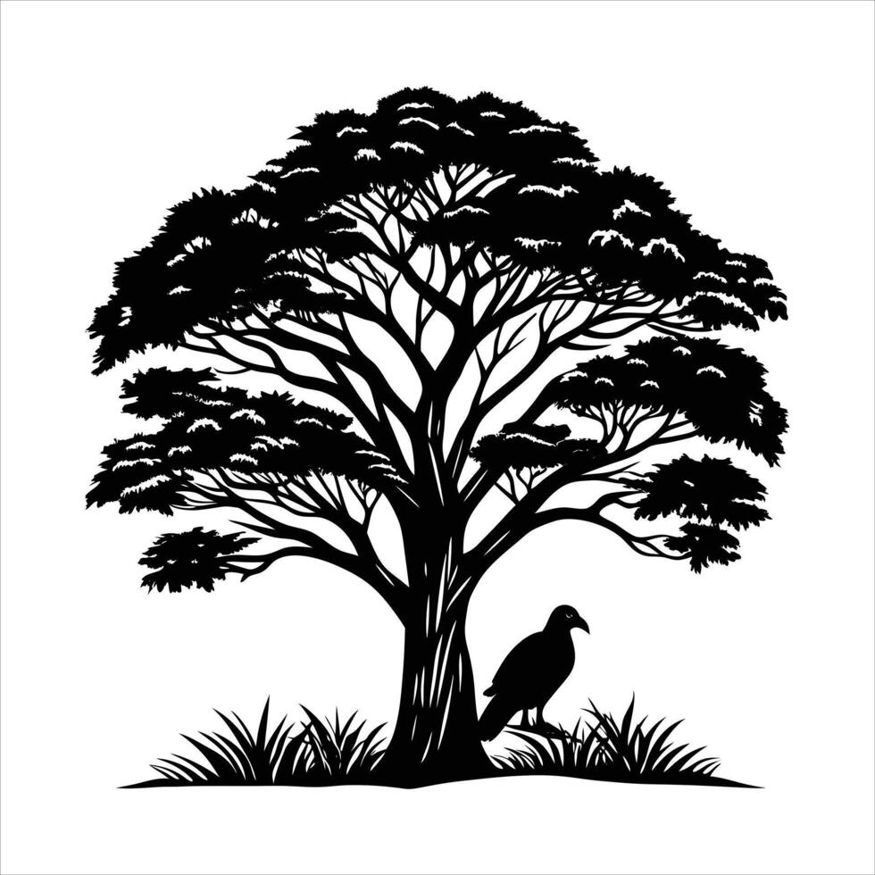 Eucalyptus Tree silhouette, vector