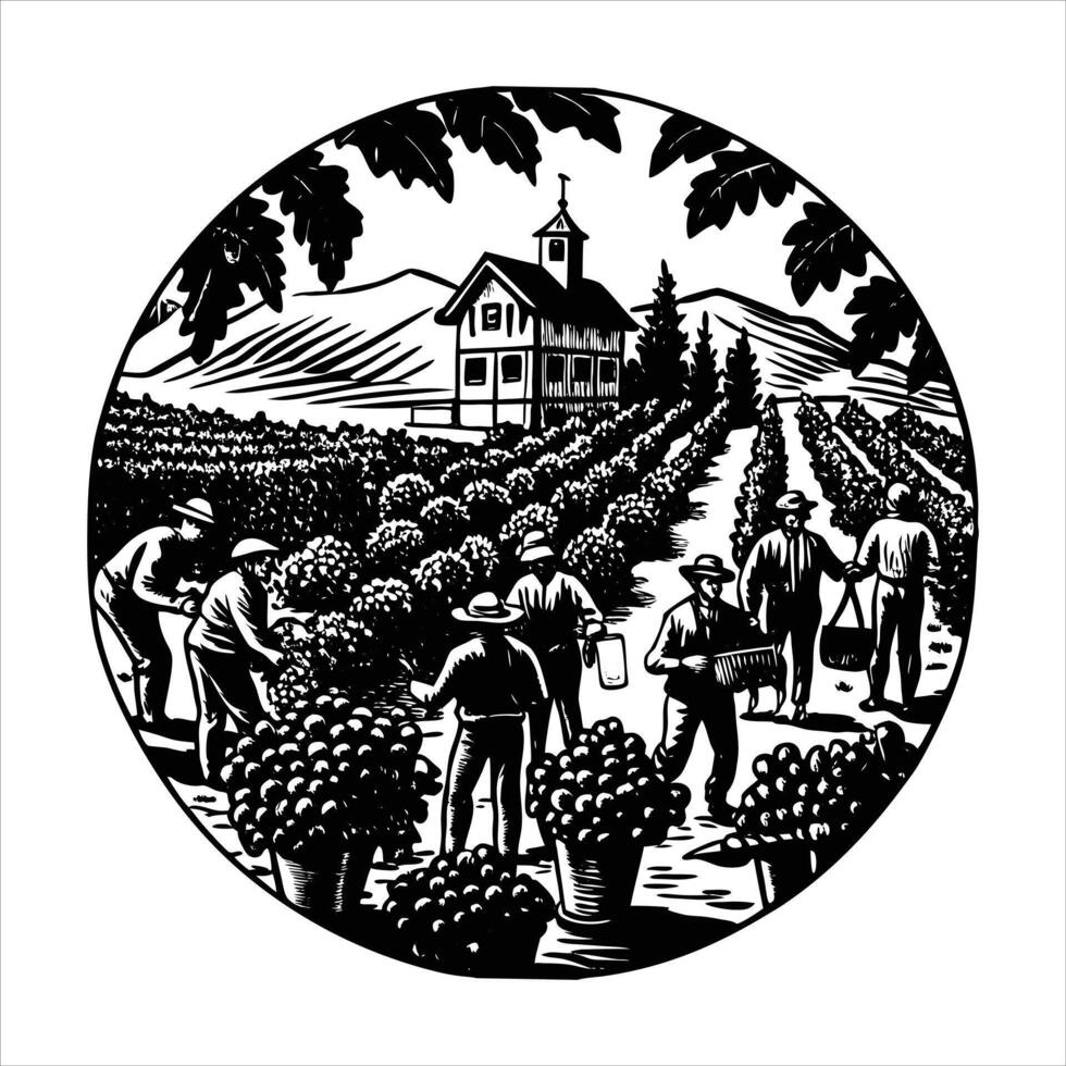 Vineyard Workers Picking vector