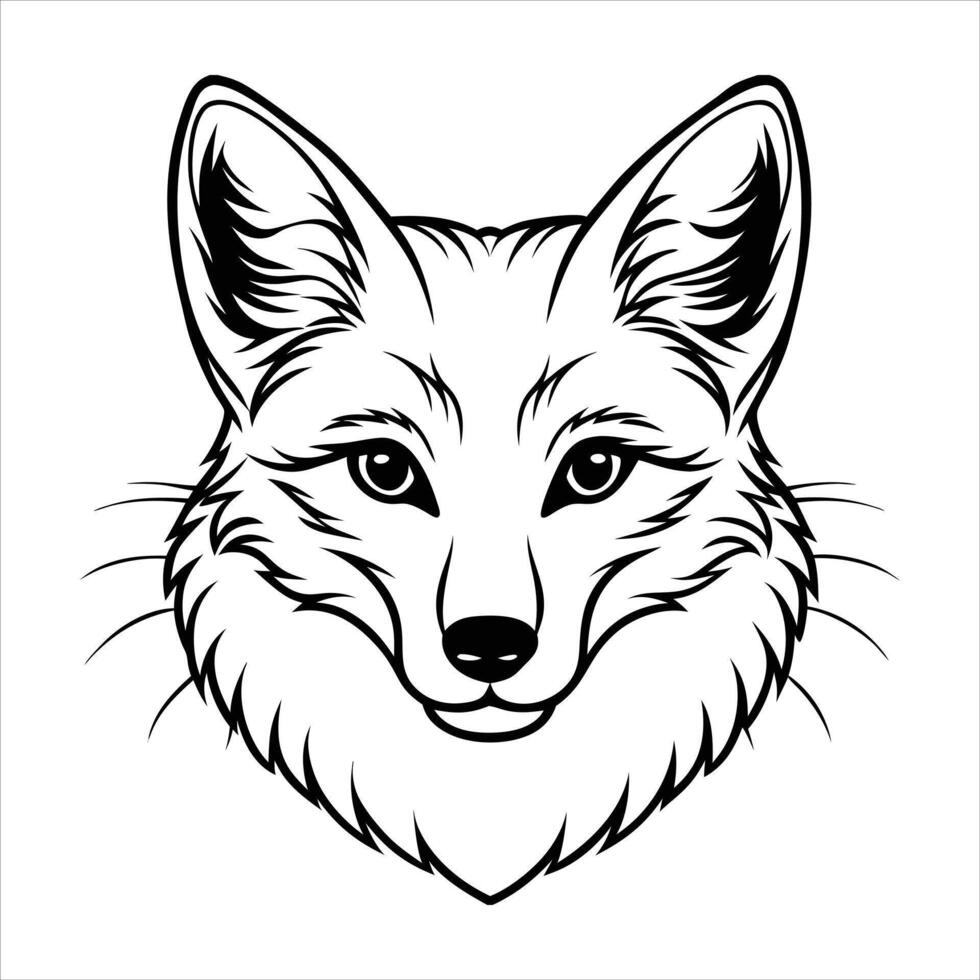 Arctic Fox Eyes vector