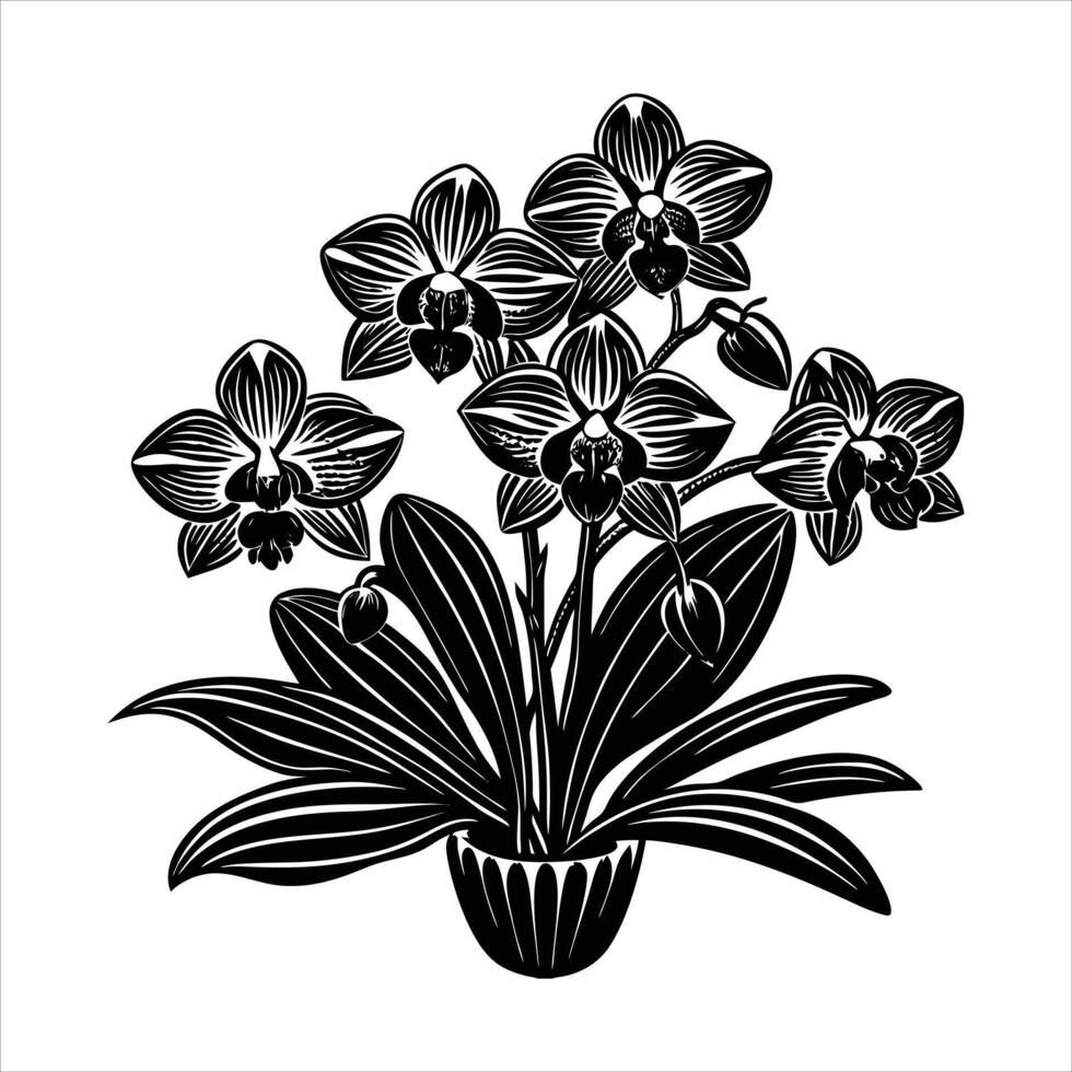 Graceful Orchid Designs vector