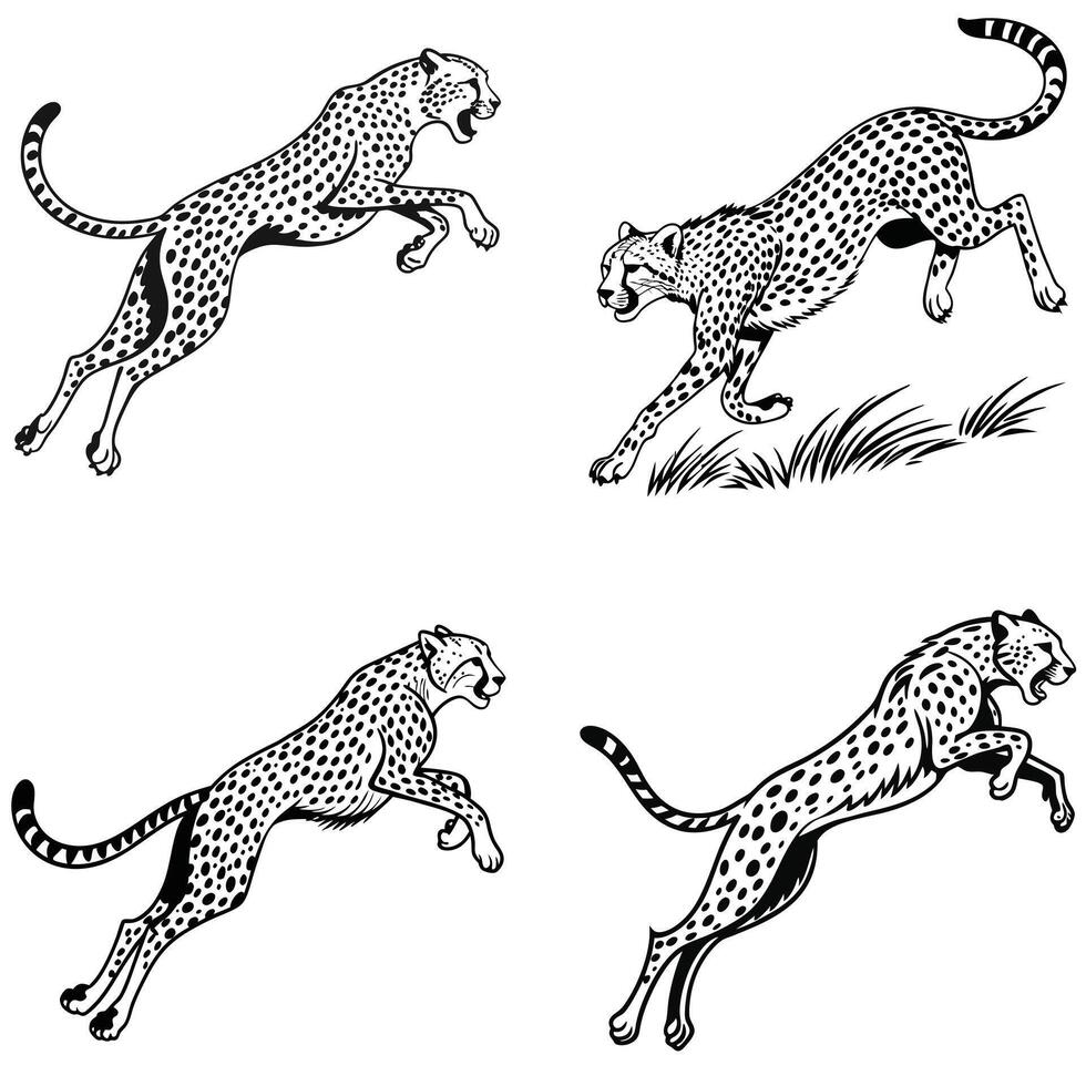 Predator in Motion Cheetah Silhouettes of Speed vector