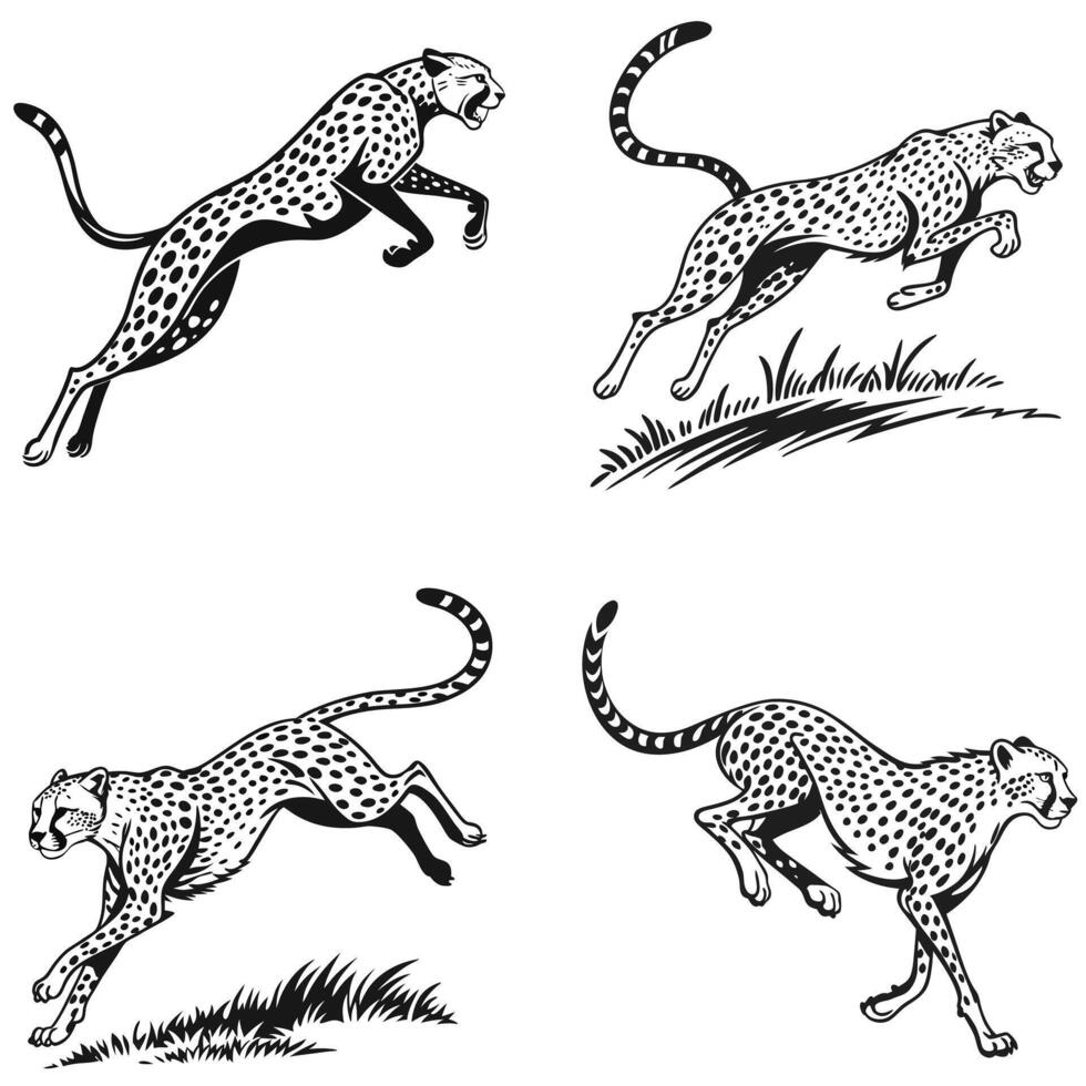Speed Unleashed Cheetah Silhouettes in Motion vector