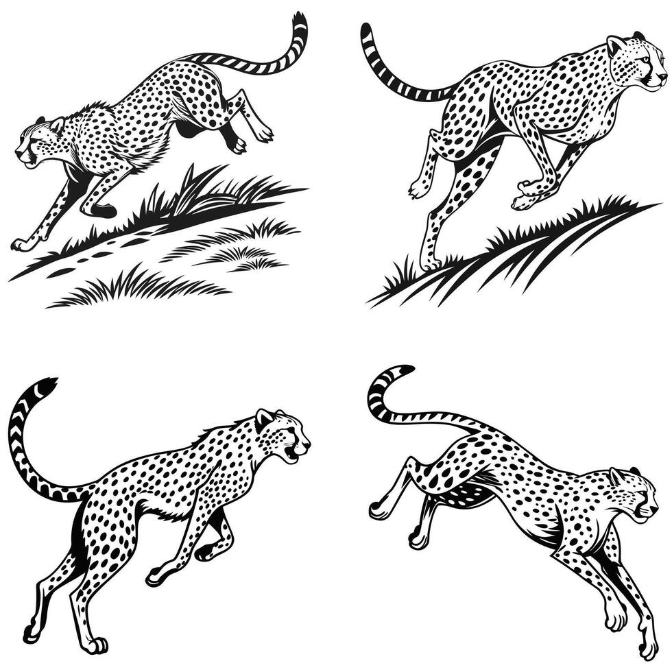 Majestic Cheetah Silhouettes The Essence of Speed vector