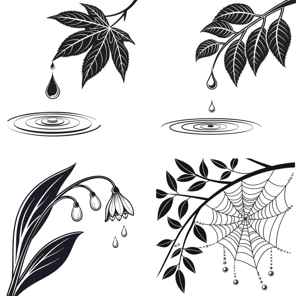 four black and white illustrations of leaves, water drops and spider web vector