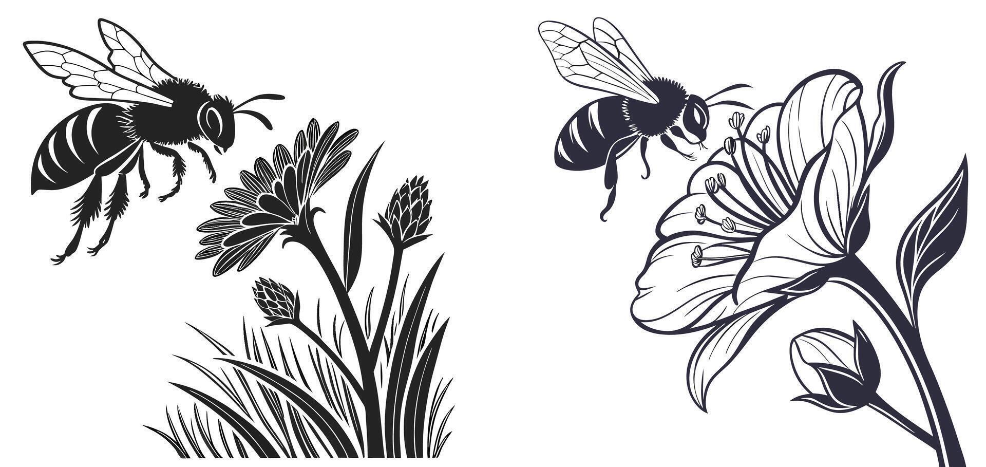 Blossom and Bee Harmony vector
