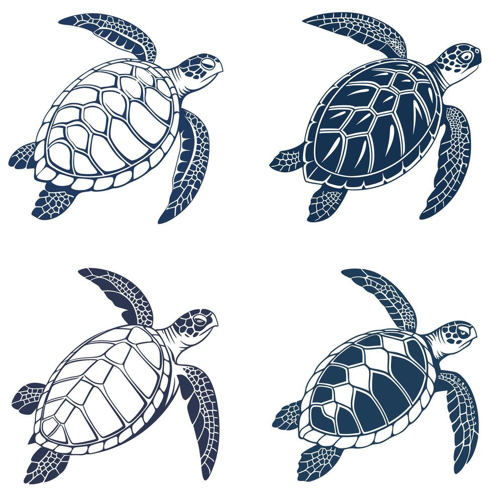 Timeless Motion of Turtles vector