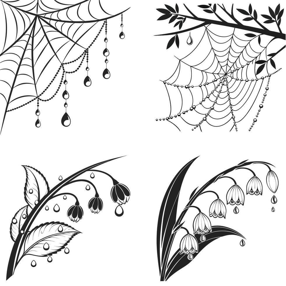 Soft Dewdrops in Morning Light vector
