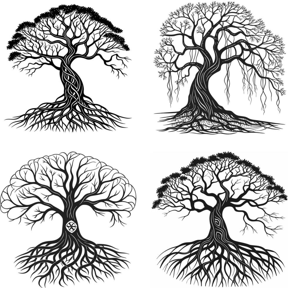Mystical Nature Elegance vector