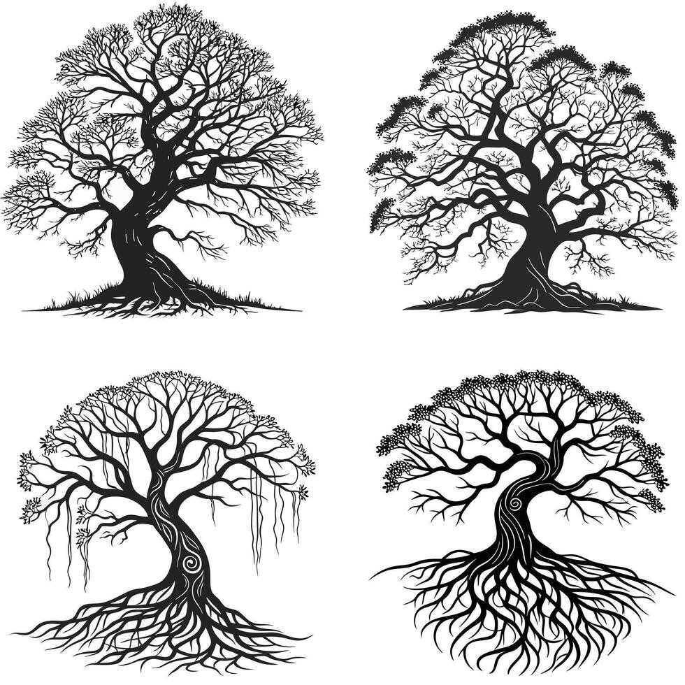 Elegant Rooted Trees vector