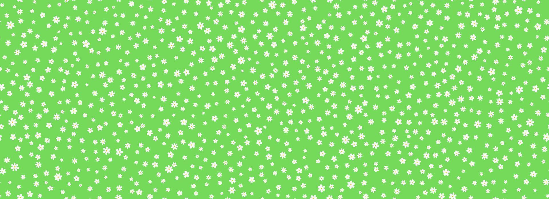 Tiny white flower seamless pattern. Light green ditsy repeated pattern. Floral background for textile print, fabric swatch, dress ornament, clothes design ornament. Cute romantic wallpaper vector