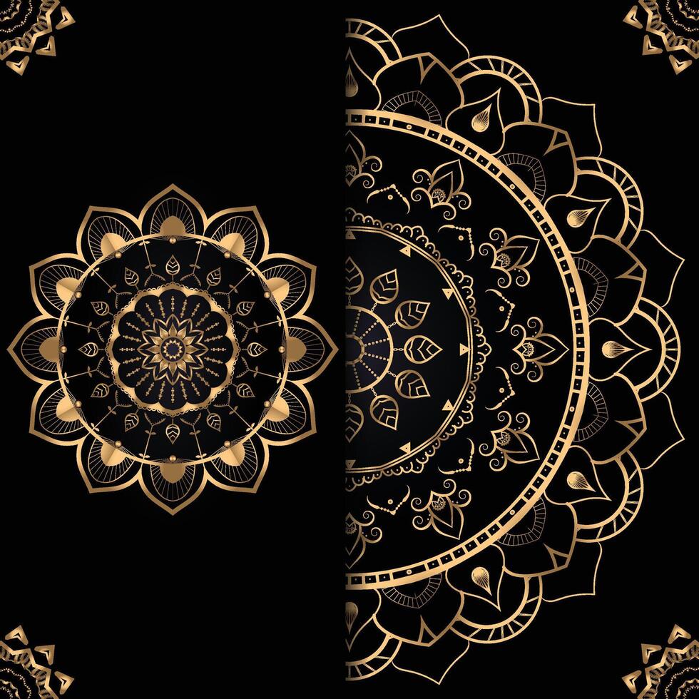 The Intricate gold mandala design on a black background and detailed patterns vector