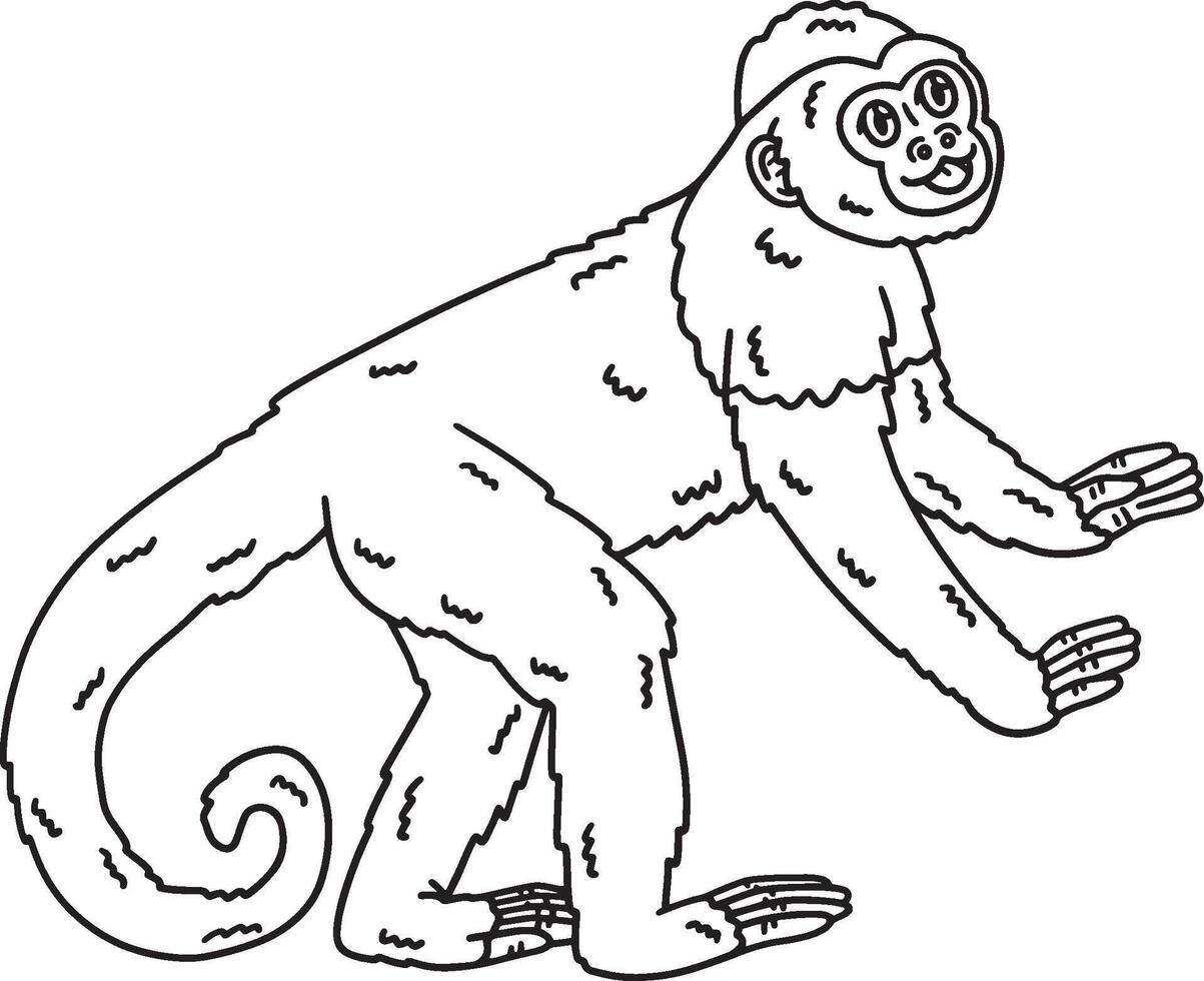 Capuchin Monkey Animal Isolated Coloring Page vector