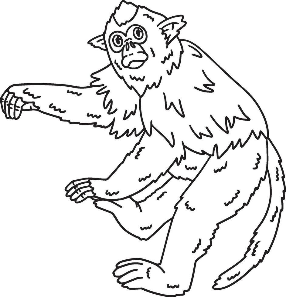 Golden Snub Nosed Monkey Isolated Coloring Page vector