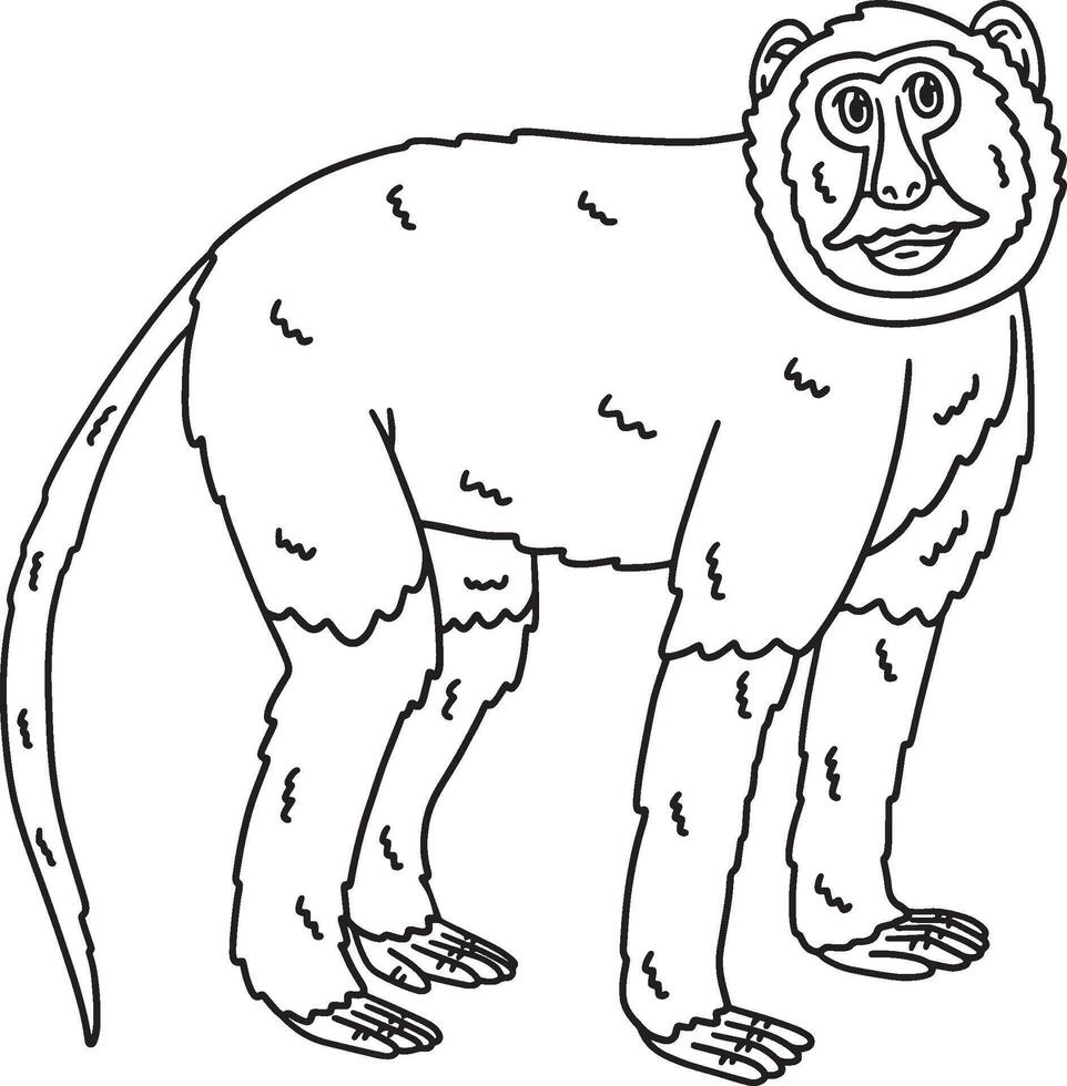 Patas Monkey Animal Isolated Coloring Page vector