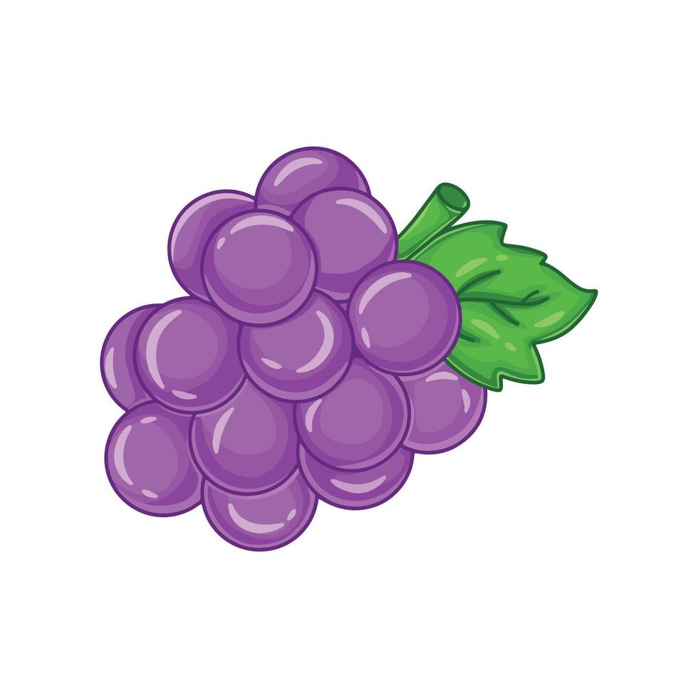 Grapes on a white background. illustration of grapes. vector