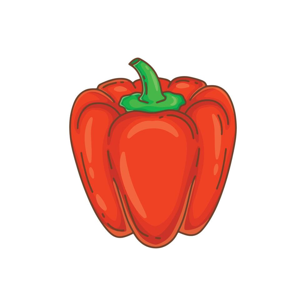 Red bell pepper isolated on white background. illustration of fresh paprika. vector