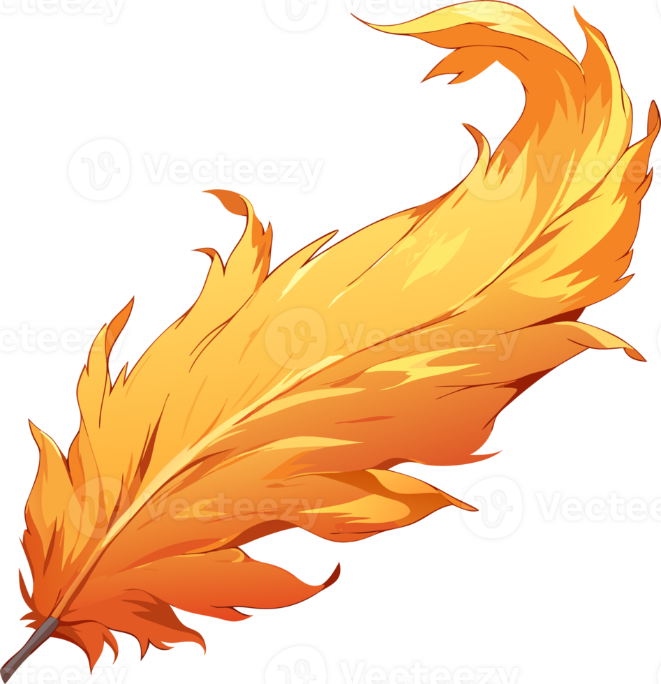 Vibrant Orange Feather Illustration, Artistic Design. png