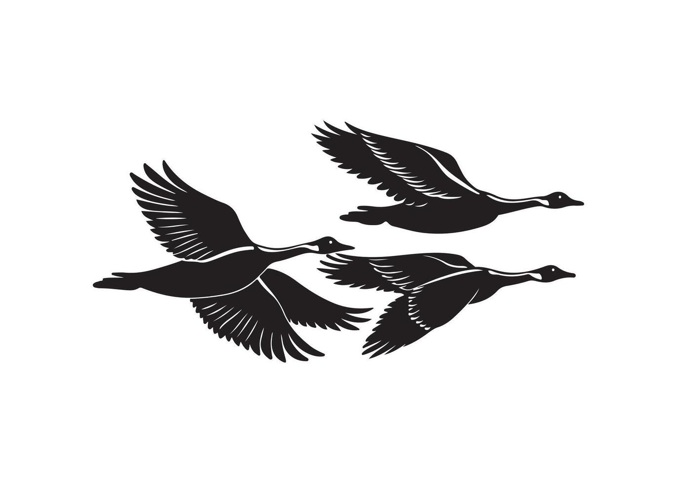 Heron just above the ground vector