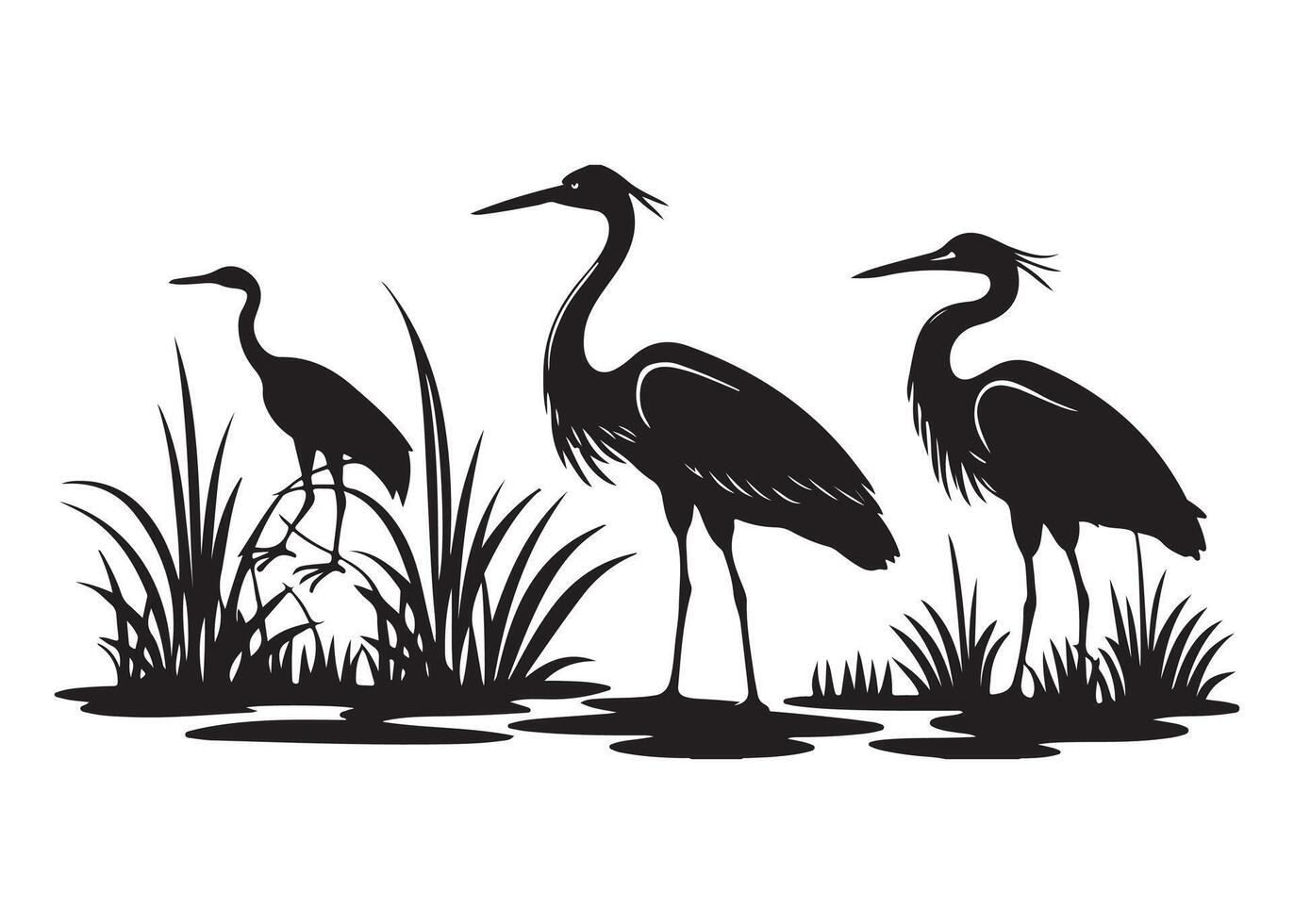 Tri-Colored Heron in the Delta vector