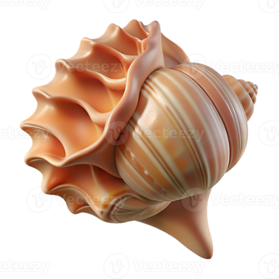 vibrant rustic serene traditional A close-up of a seashell, intricate patterns, soft light, still life photography style authentic professional png
