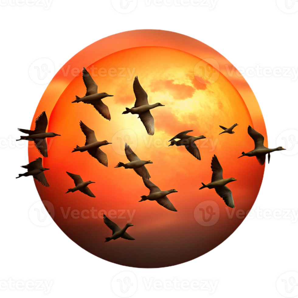 wonderful abstract A flock of migrating birds silhouetted against a fiery sunset sky, in a dynamic, action packed style authentic png