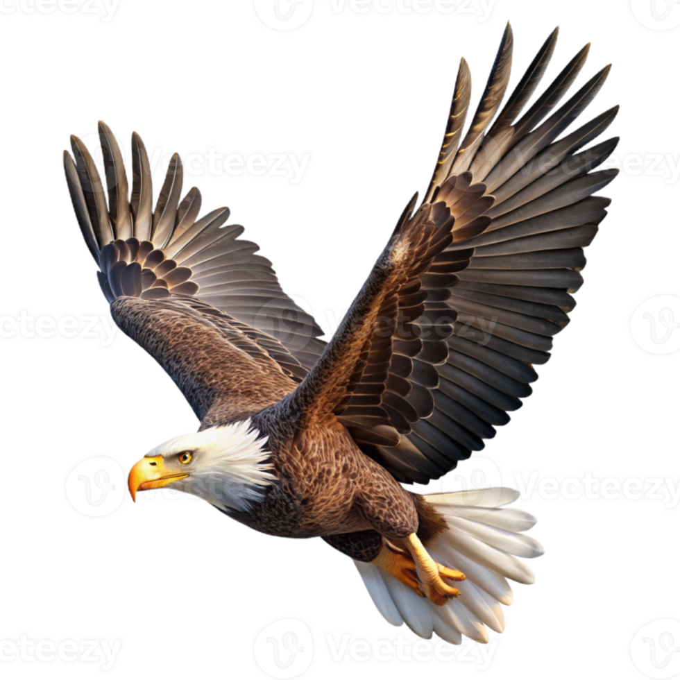 impressive creative A majestic bald eagle soaring through a cloudy sky, captured in a dramatic low angle shot with sharp focus and realistic textures, lit by a single beam of sunlight genuine png