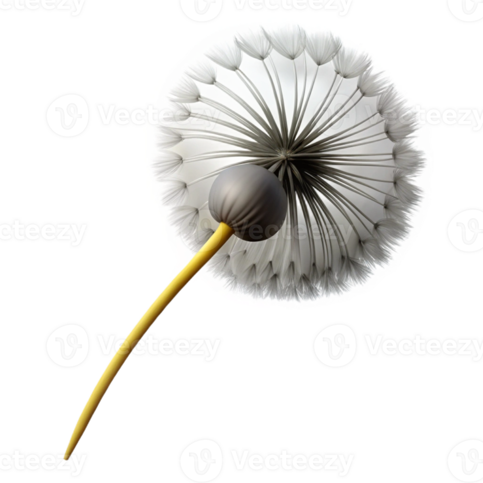 stunning rustic A single dandelion seedhead in the wind, soft focus, delicate, black and white photography professional png