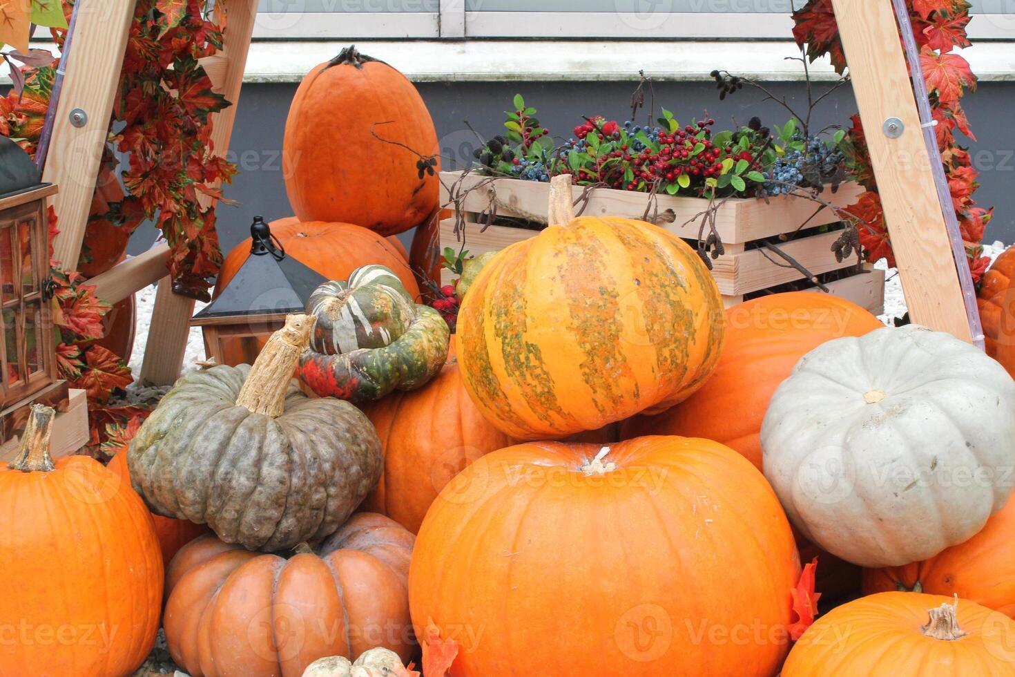 Autumn harvest display with pumpkins, gourds, and fall decorations. Festive seasonal arrangement showcasing the bounty of the harvest. photo