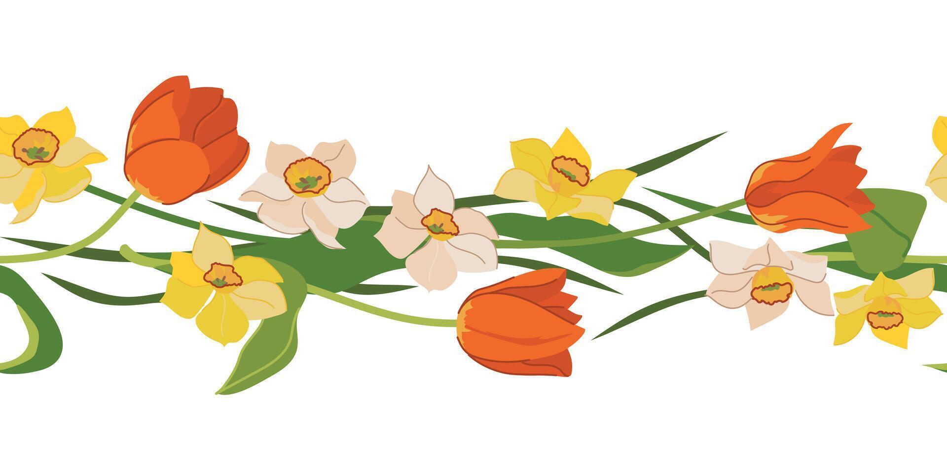 Beautiful seamless border of tulips and daffodils isolated on white background. Red, yellow and white spring flowers, Mother's Day gift. Colorful illustration in flat style. vector