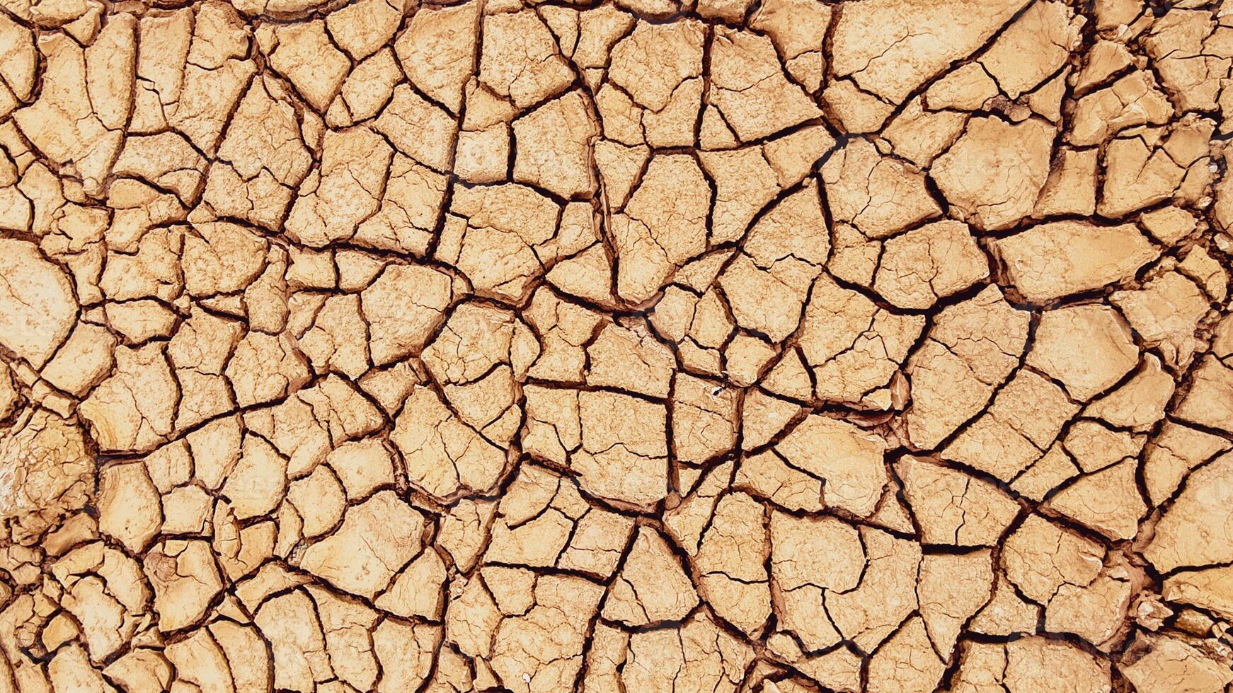Cracked Earth Texture Showing Effects of Drought and Climate Change in Arid Desert Environment photo