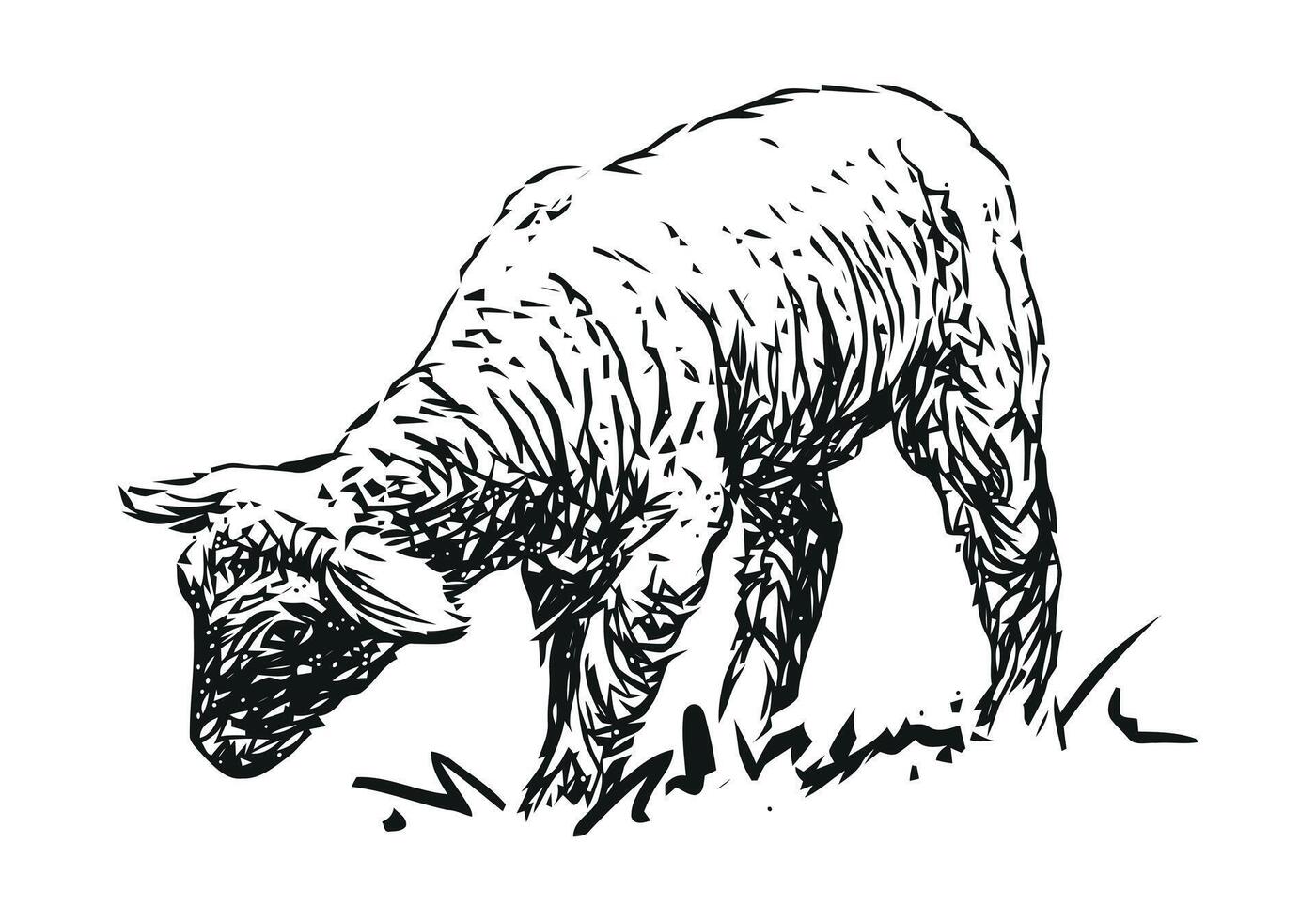 lamb - farm animal, hand drawn black and white illustration, isolated on white background vector