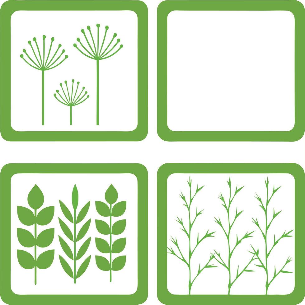 Green And White Botanical Illustrations Simple Elegant Art Design. vector