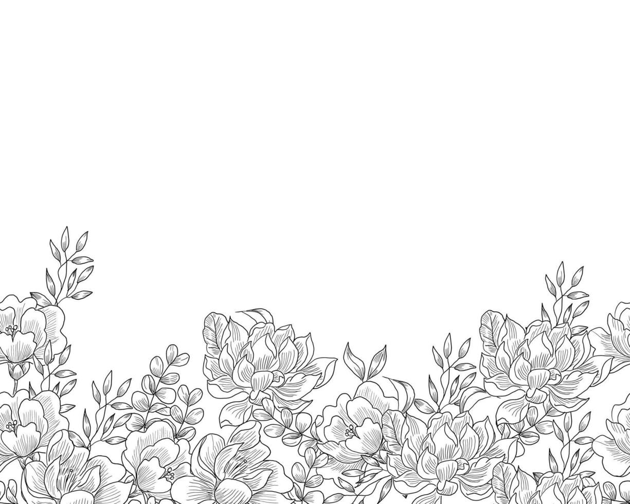 Magnolia Floral Line Art Background vector