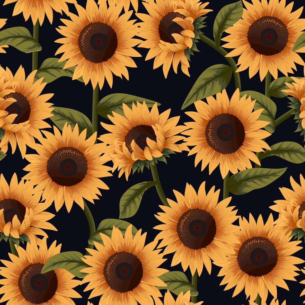 Beautiful sunflowers seamless pattern on black background vector